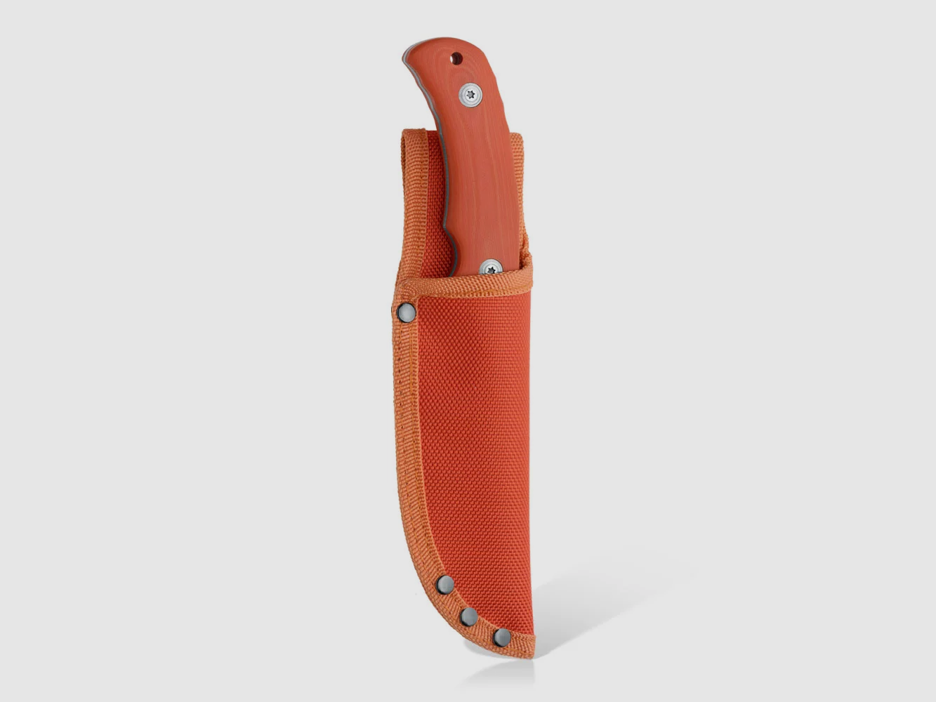 Black Fox Drop-Point-Klinge satinierte Oberfläche G10 orange BF-132, Bild 2 von 4