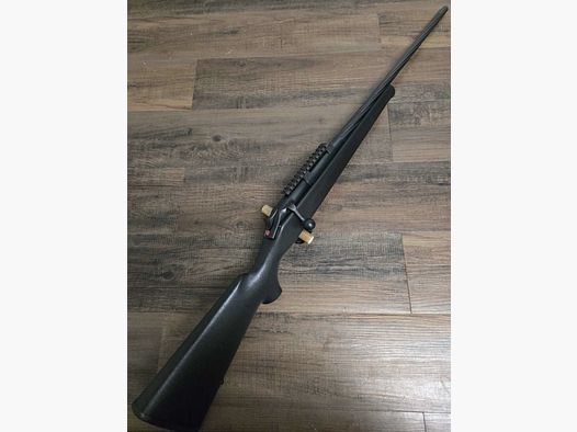 Blaser R93 Professional, 8x57 IS, mit Picatinny-Schiene