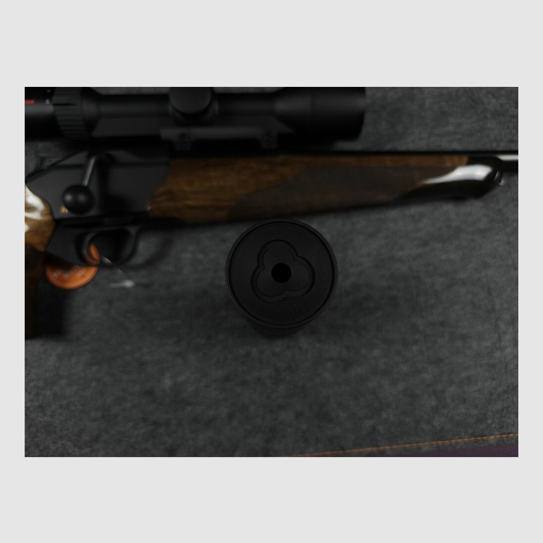 Blaser R8 Success