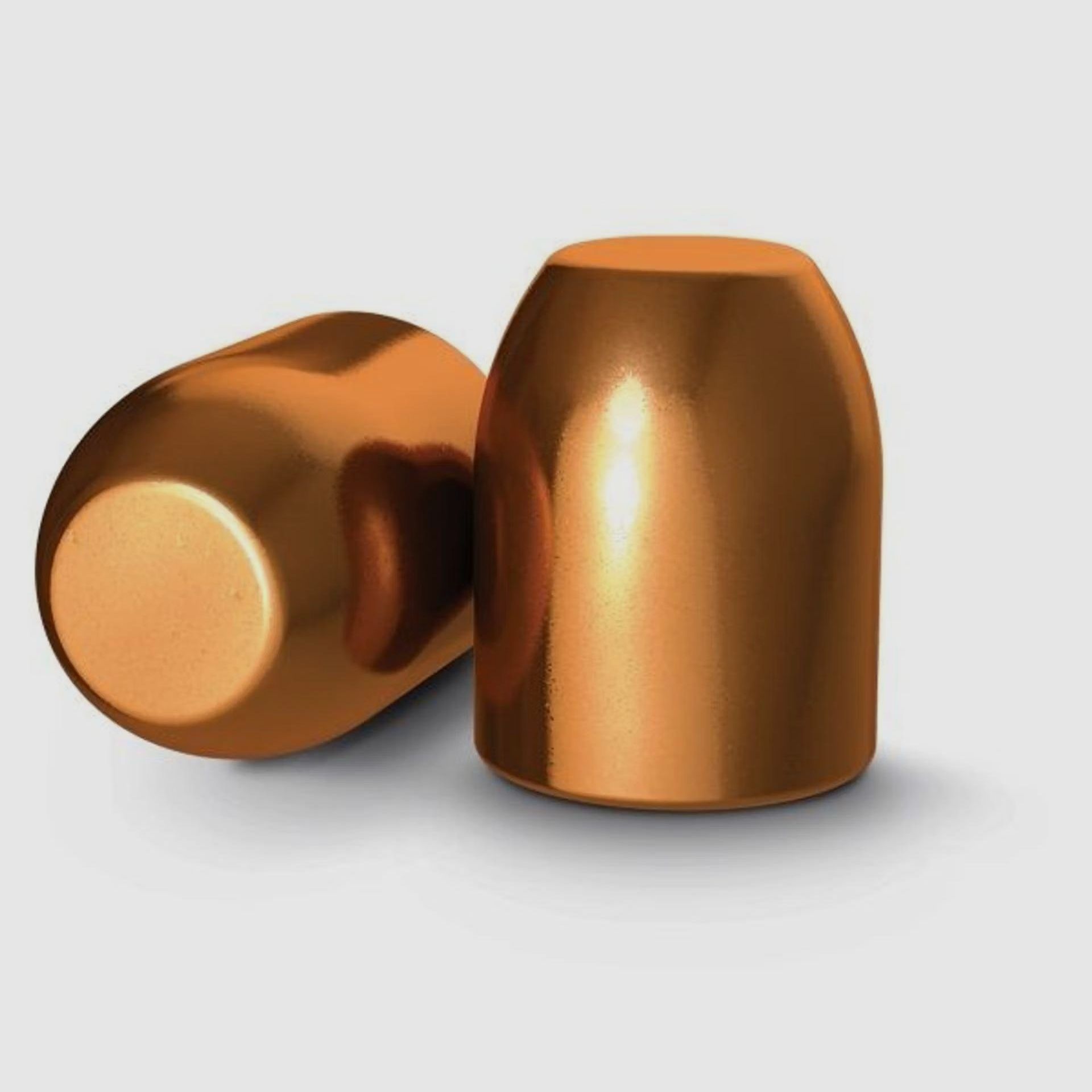 H & N Geschoss .501 300 gr. TC, 250 Stück für .500 S&W / .50 AE