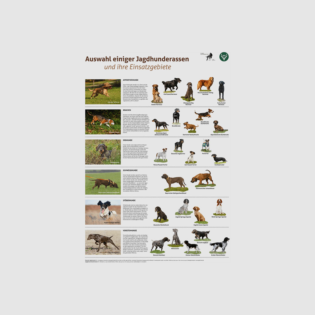 Póster "Razas de perros de caza y sus áreas de uso"