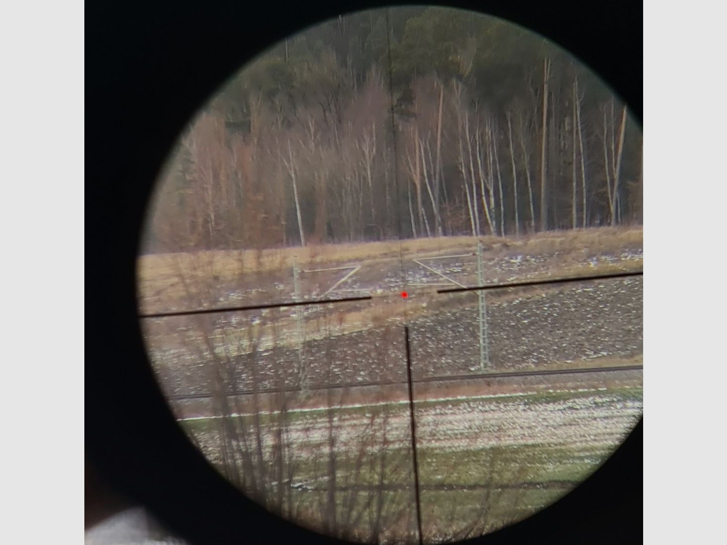 Zielfernrohr BURRIS FOUR Xe 3-12×56 mit RD