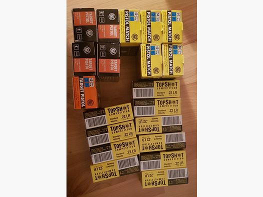 22lr munición