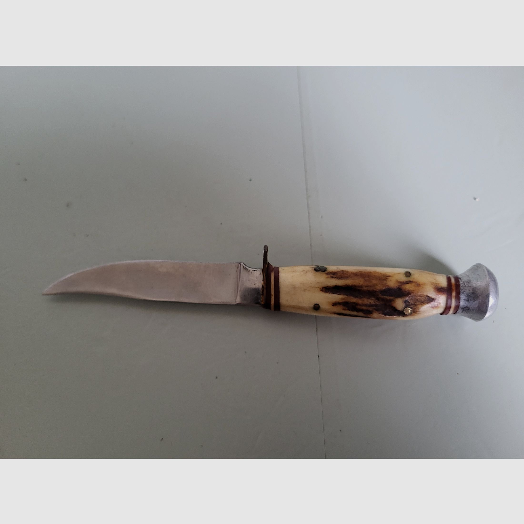 Puma hunting knife - folding knife - deer antler handle