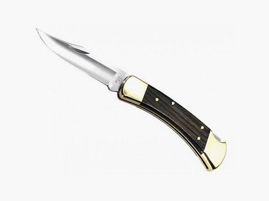 Buck B110