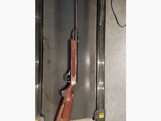 Rifle de aire
