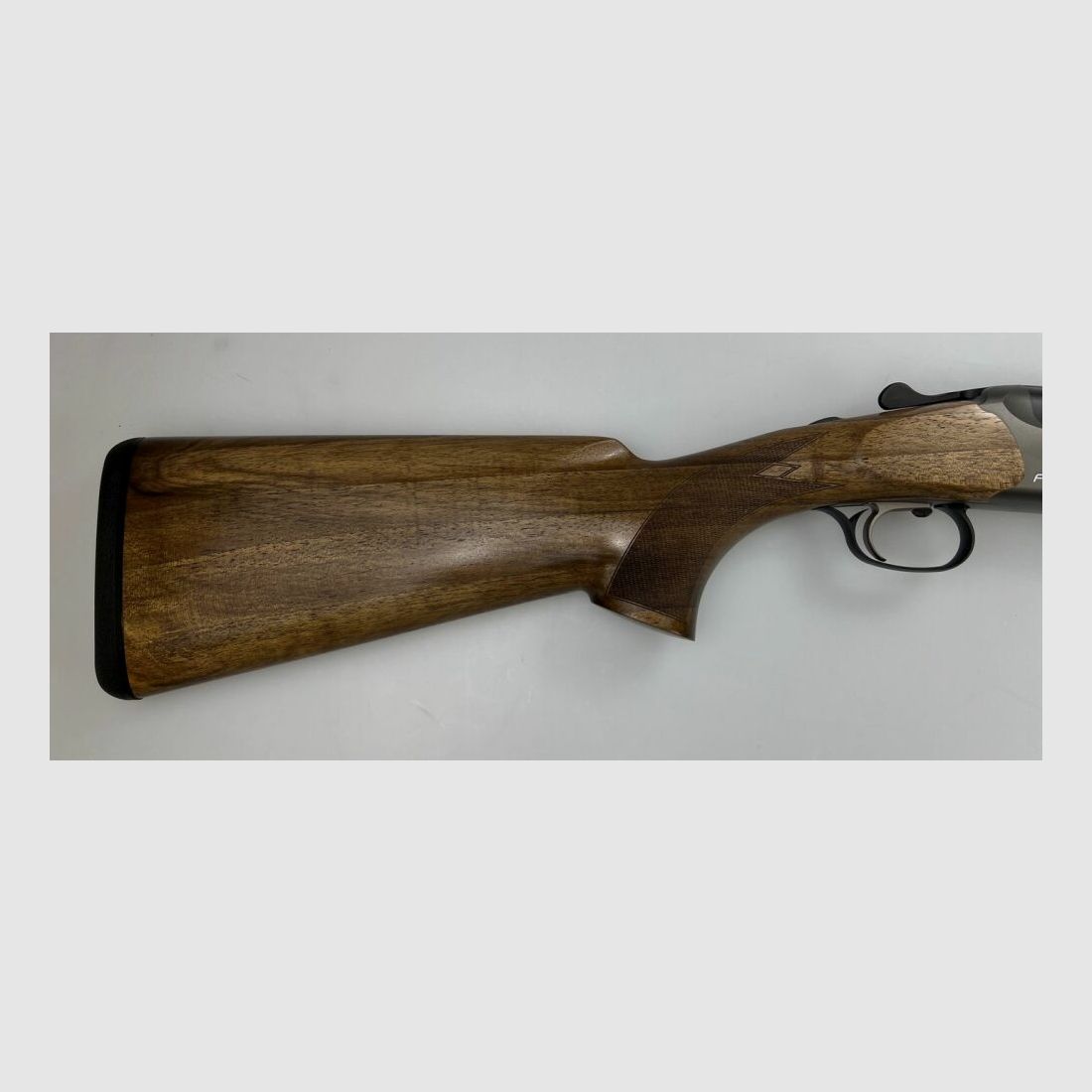 Blaser F16 Game