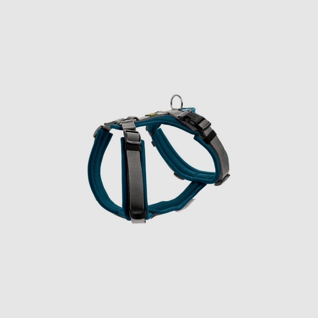 Hunter Geschirr Maldon Petrol/Grau 60-91/M-L