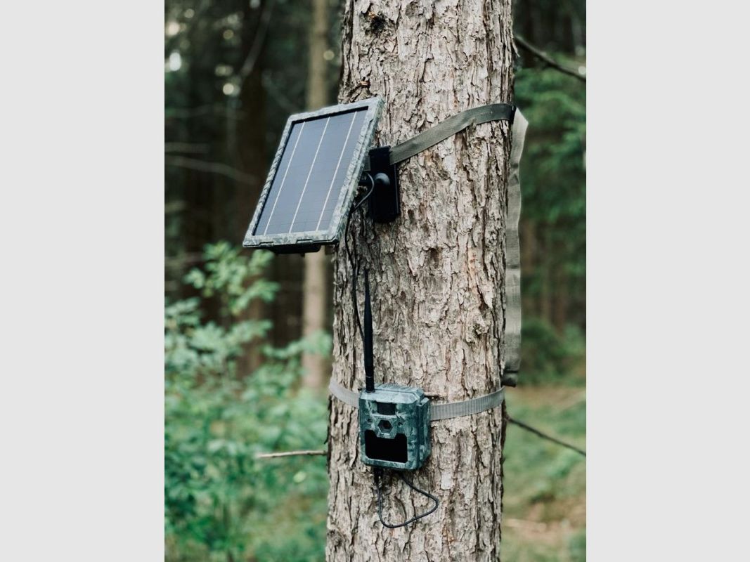 ICU CLOM Zonnepaneel 5,4W voor Wildcamera’s van ICUserver – Duurzame Stroomvoorziening voor 6V en 12V Wildcamera’s, afbeelding 3 van 10
