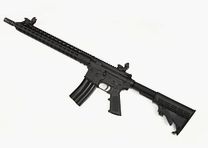 Inter Ordnance RG15-A2 Flat Top Kal. 223 Rem