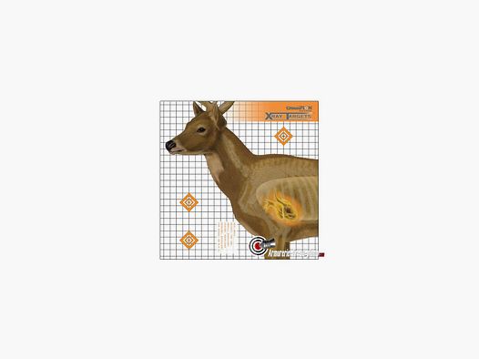 Lot de six cibles posters cerf en rayons X