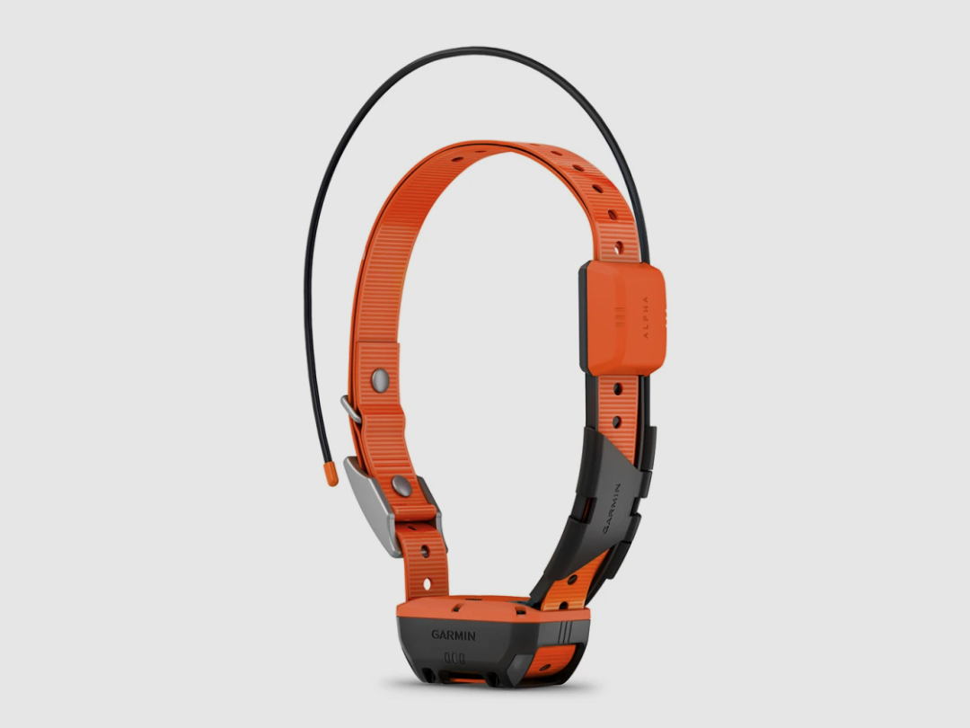 Garmin Alpha T20K GPS-Halsband, Bild 2 von 3