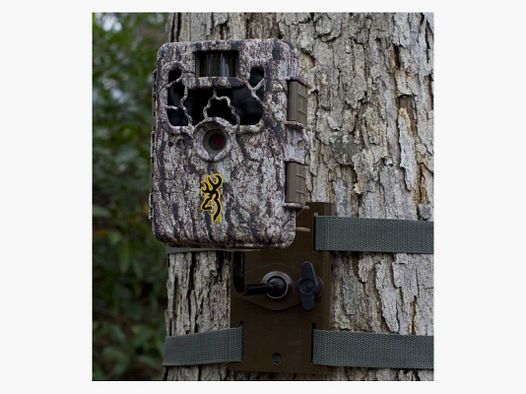 Supporto da Alberi BTCTM Browning