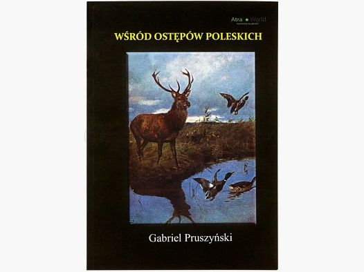 In den Weiten des Polesie Gabriel Pruszyński