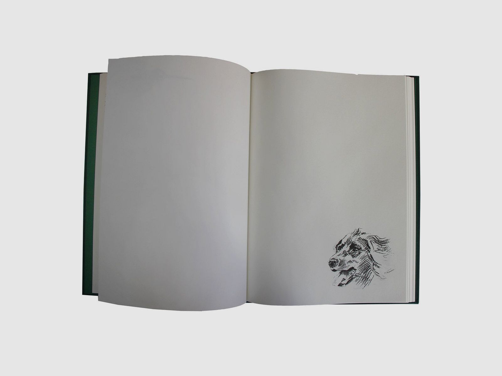 Schuss- und Jagdtagebuch