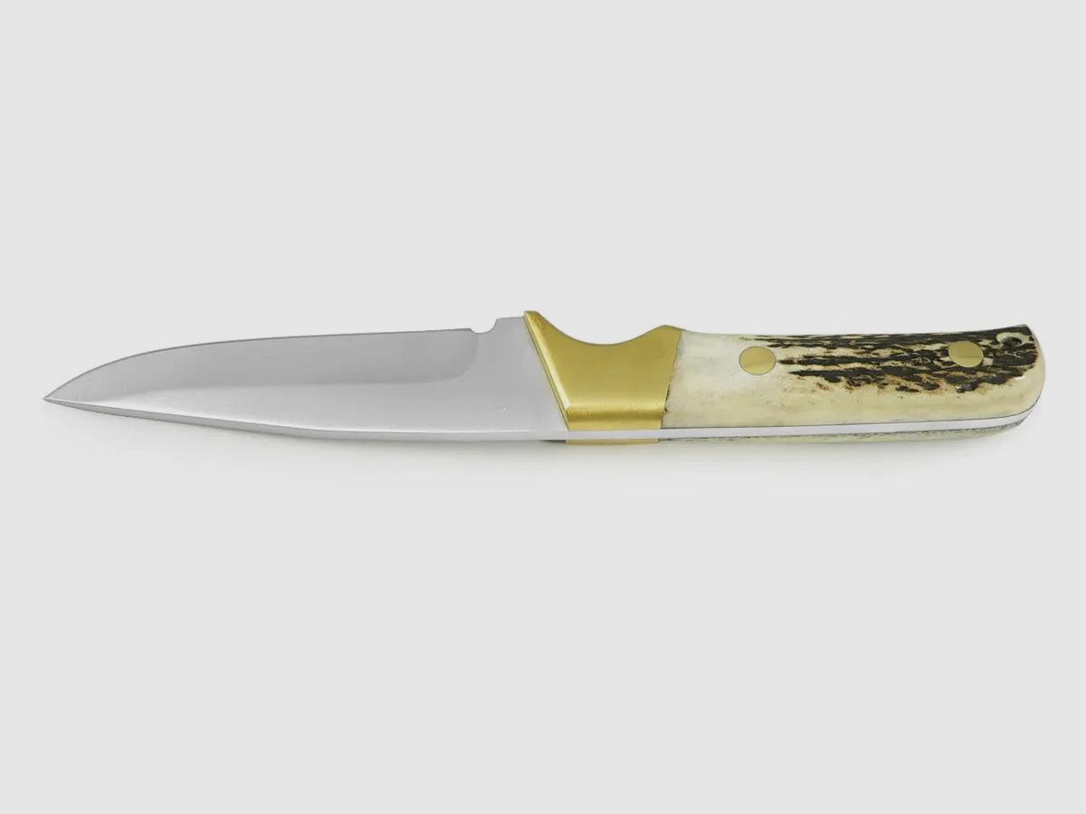 PUMA IP cantabo, stag