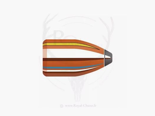 50 ogives Cal.45 D.452 245Grs SP INTERLOCK HORNADY
