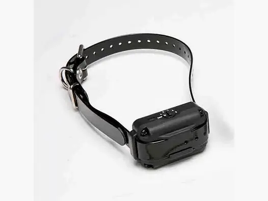 Collier Supplémentaire Dogtra pour Dogtra E-Fence