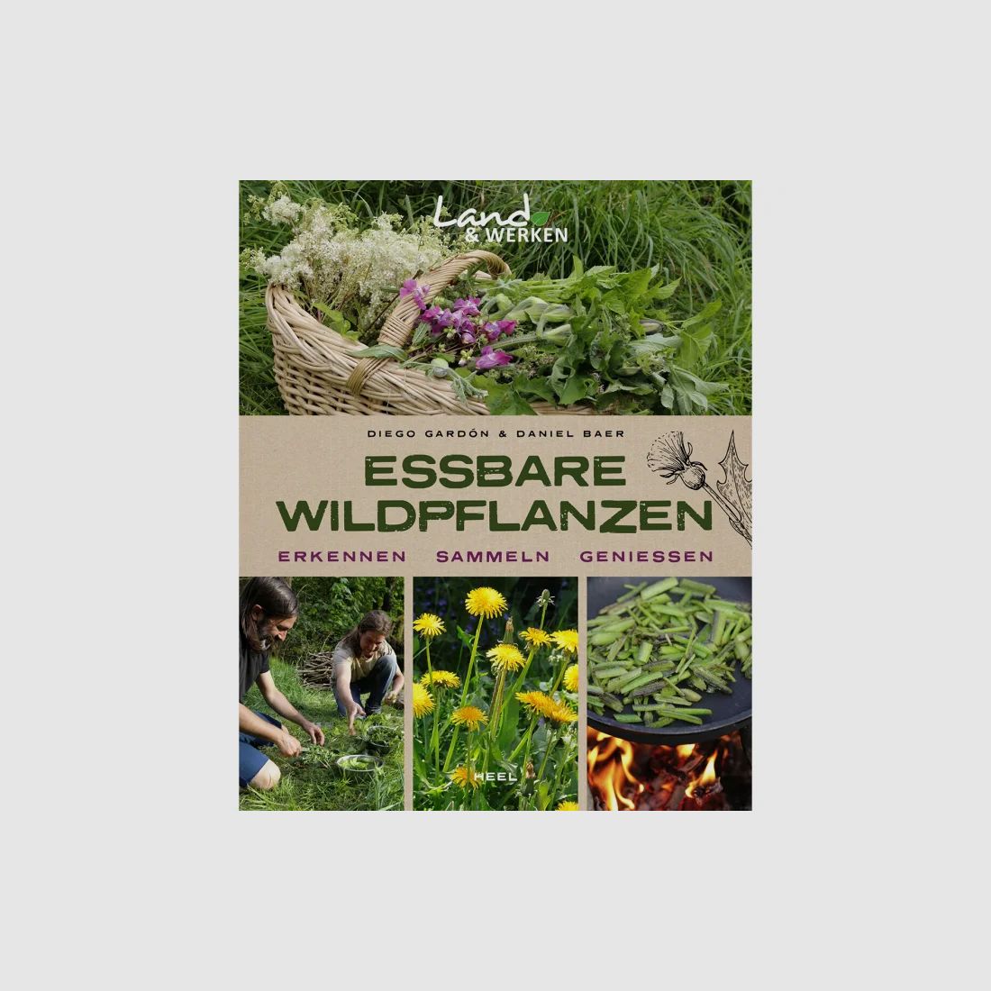 Edible wild plants