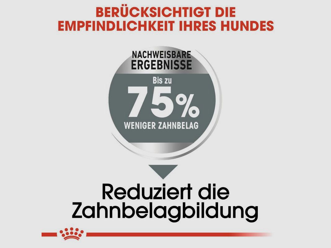 ROYAL CANIN Große Hunde Trockenfutter Dental Care Maxi für empfindliche Zähne 9 Kg