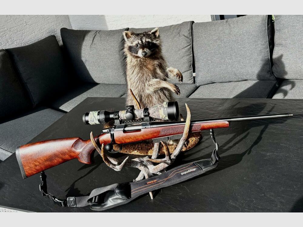 CZ Ranger Walnuss Schaft