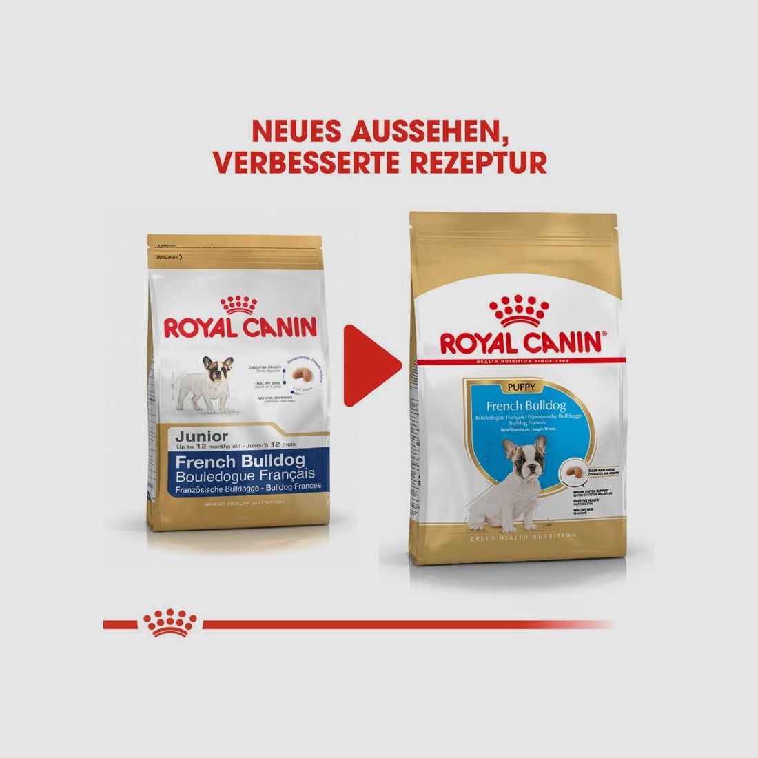 ROYAL CANIN Französische Bulldoggen Trockenfutter Welpen