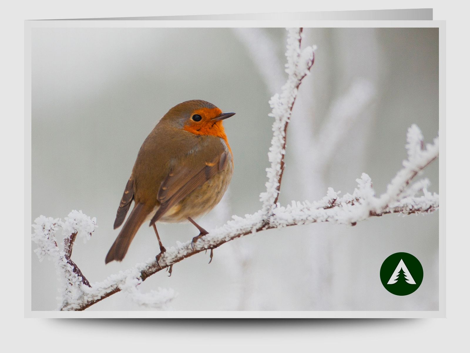 Bon podarunkowy do wydrukowania