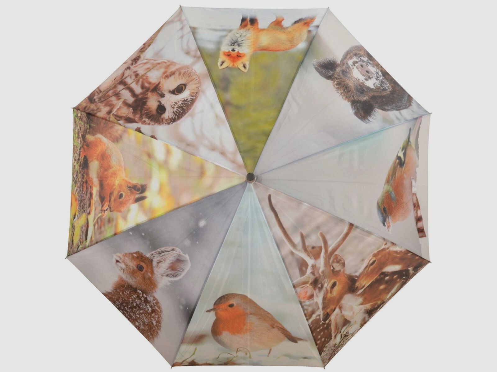 Lovergreen Outdoor Motiv Regenschirm mit verschiedenen Tieren