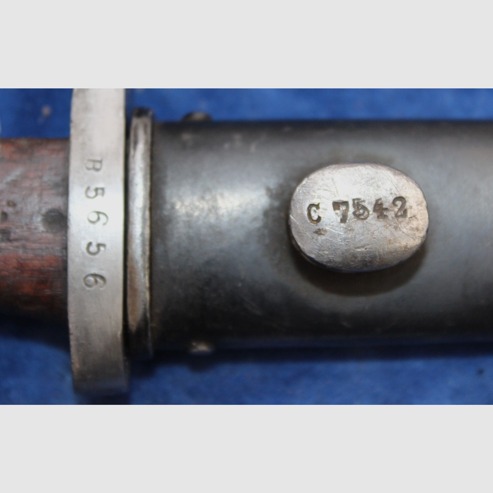 Baïonnette chilienne M1895, image 5 sur 9