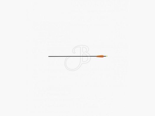 EK DART ARBALÈTRE CARBONE 20" 8 PCS