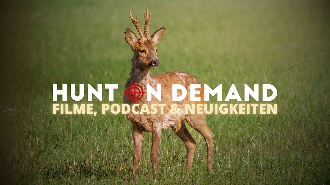 Filme, Podcast & Neuigkeiten!