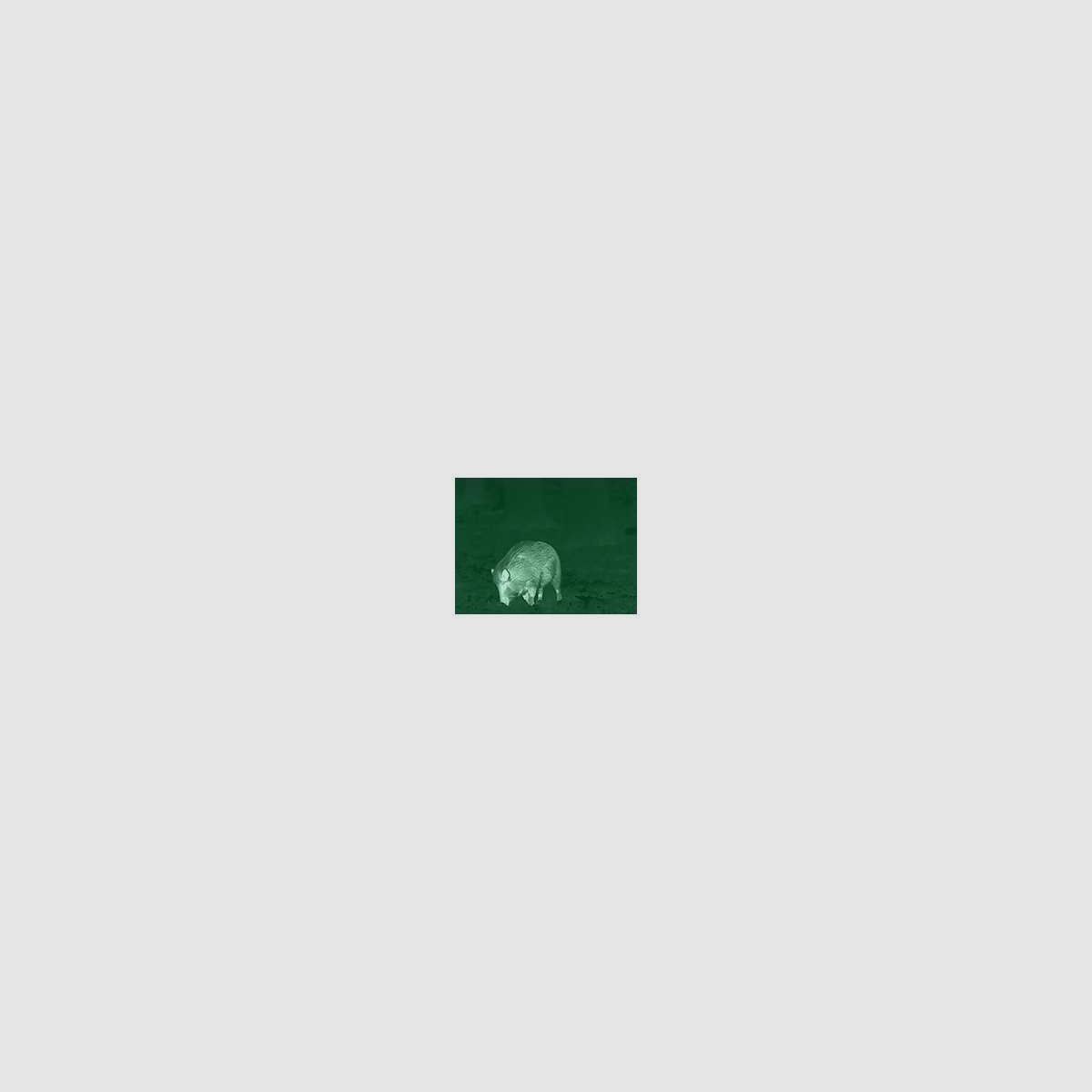 CLIP HEMERA STANDARD XX0041, Bild 4 von 4