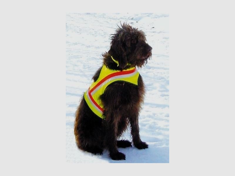 Hundewarnweste Gr. 2 (50-70H /55-85B) Bracke