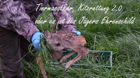 Tiermassaker, Kitzrettung 2.0 oder es ist des Jägers Ehrenschild