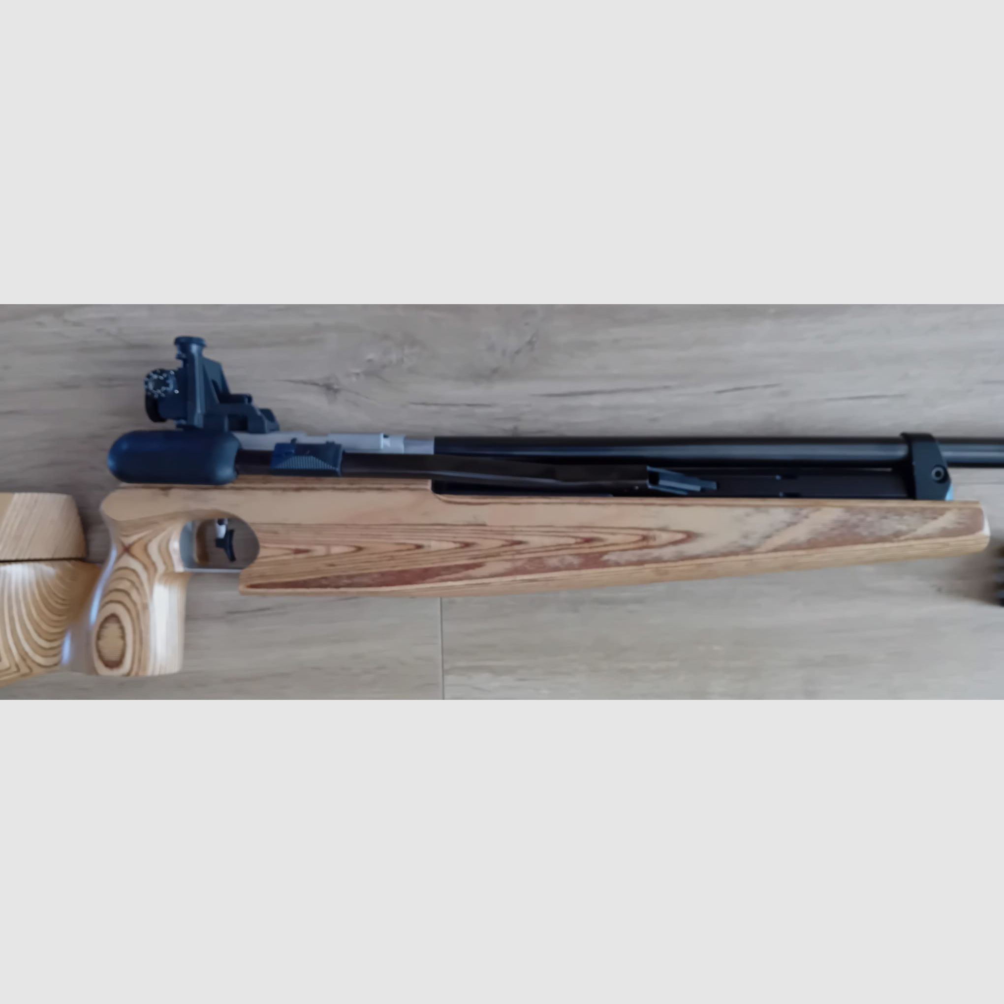Feinwerkbau 601