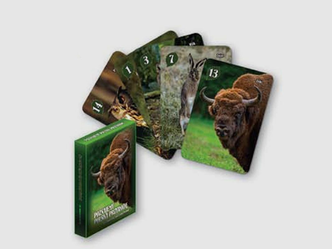 Juego educativo Piotruś – Descubrimos la naturaleza polaca