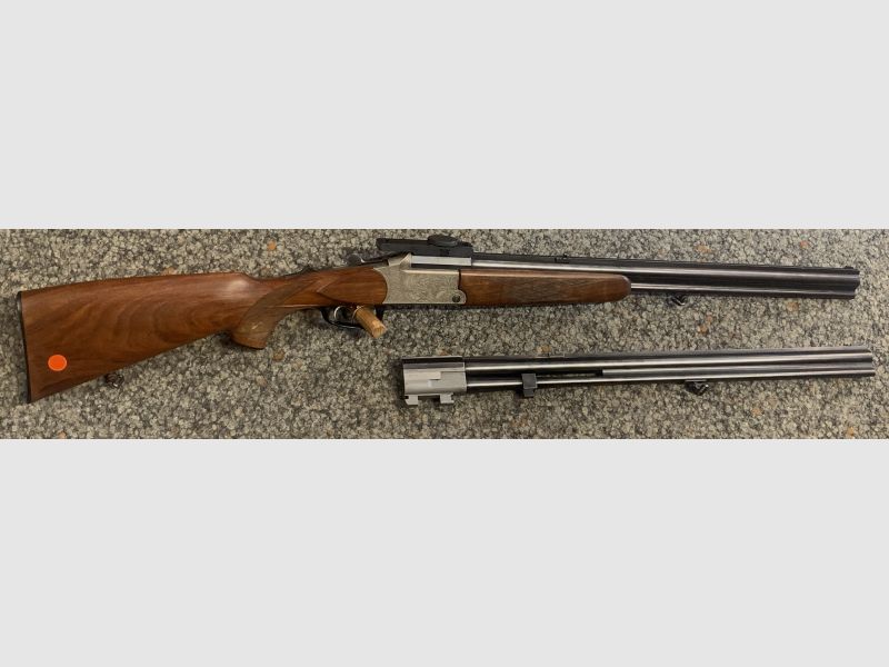 Blaser ES67 Luxus mit zwei Läufen: .243Win, 16/70; 7x65R, 16/70