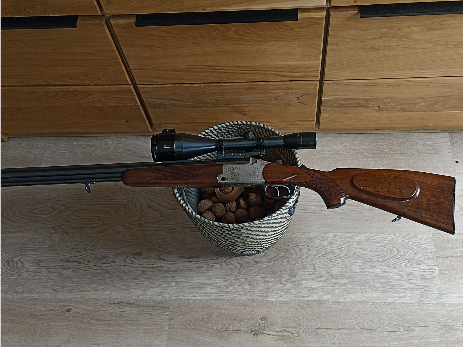 Blaser es 67