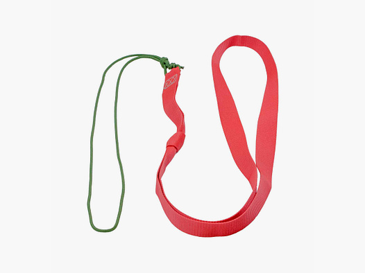 Ayuda para la recuperación de muflones