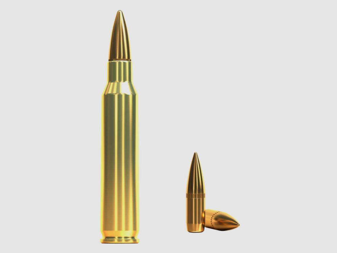 Sellier & Bellot 2010788 .223 Rem. Full metal jacket 4.5g 69grs. 100 pcs rifle cartridges