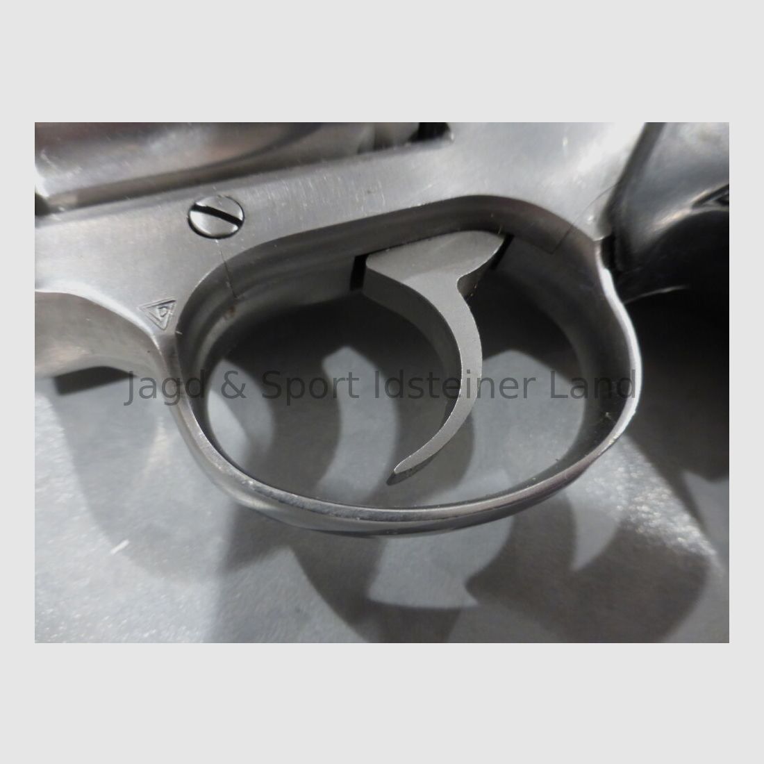 Colt Detective Special II