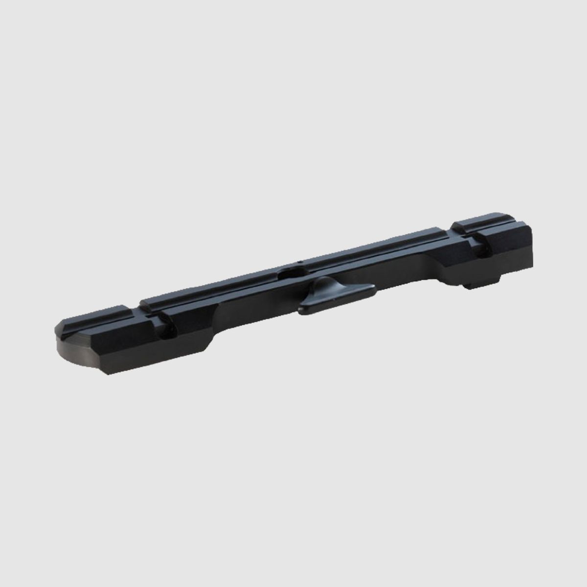 Dentler base rail BASIS