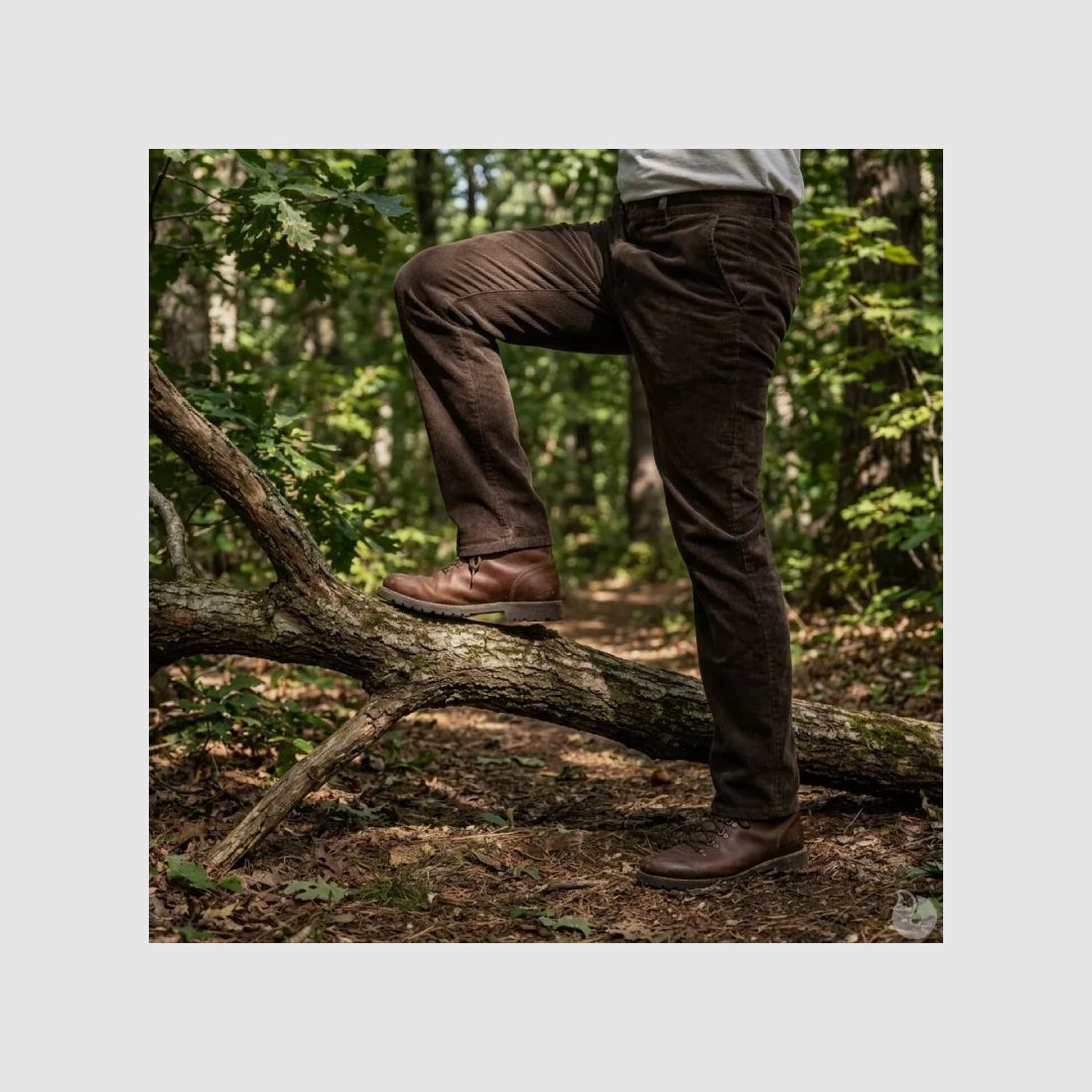 Brown corduroy trousers Calvados T38-T60, image 1 of 15