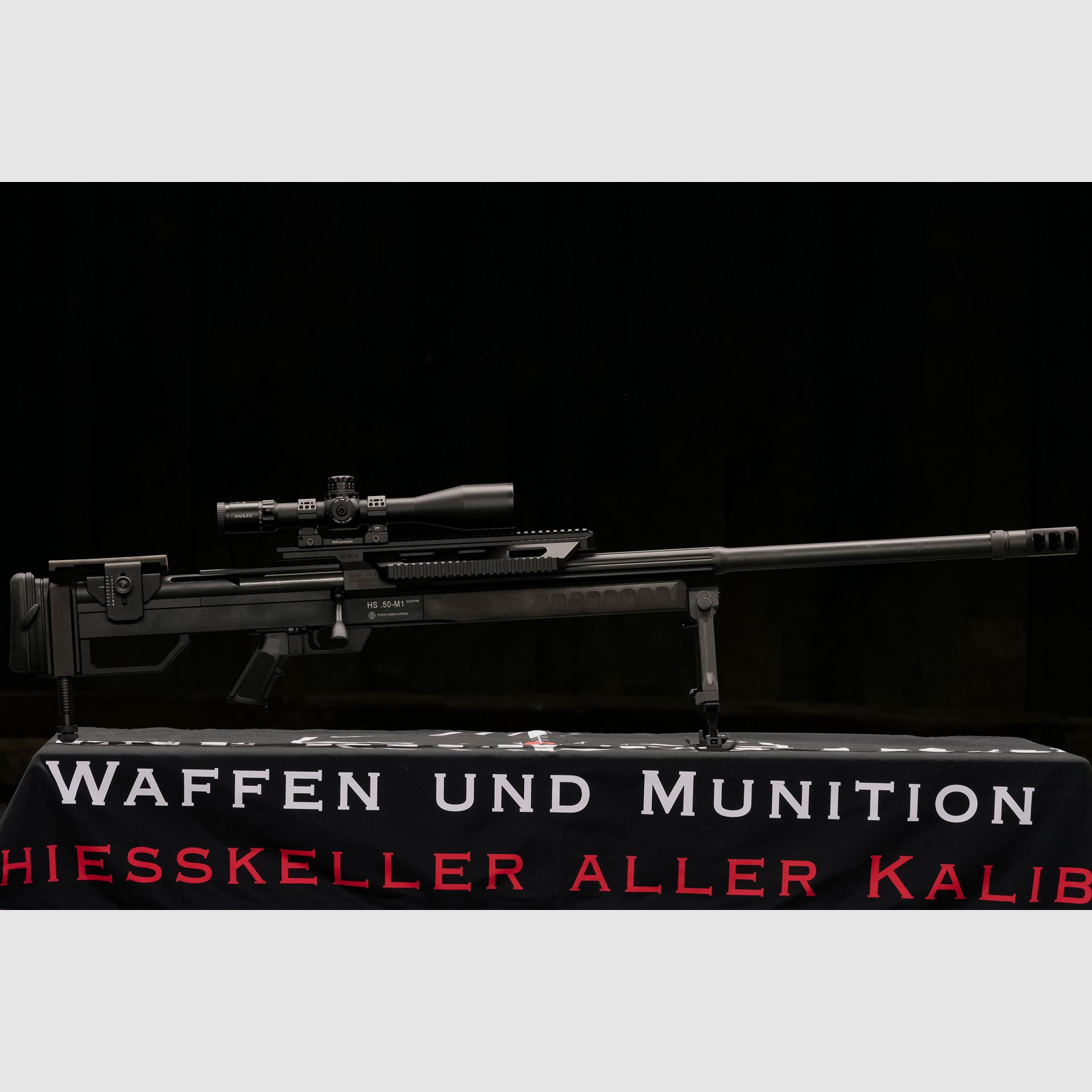 Steyr HS .50 M1, Bild 3 von 10