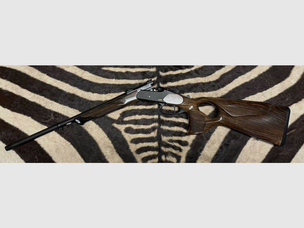 Blaser K95 Success