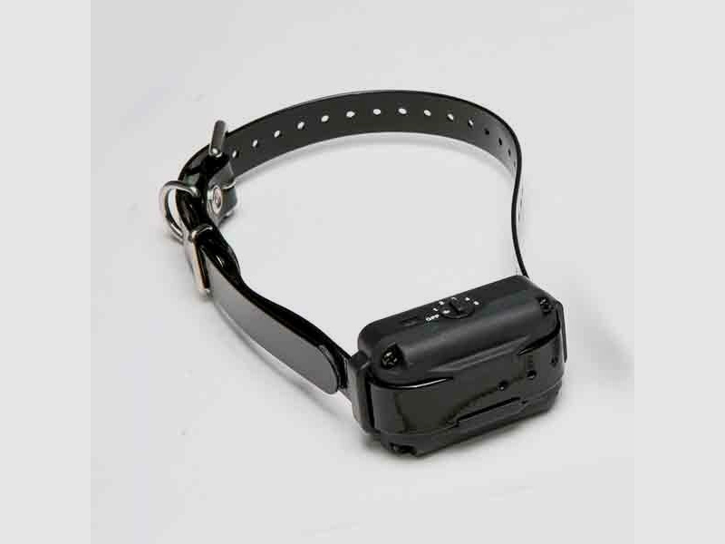 Zusatzhalsband für Dogtra E-fence