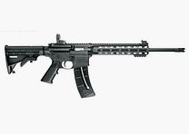SMITH & WESSON MP15-22 SPORT 16,5&Prime; 22LR