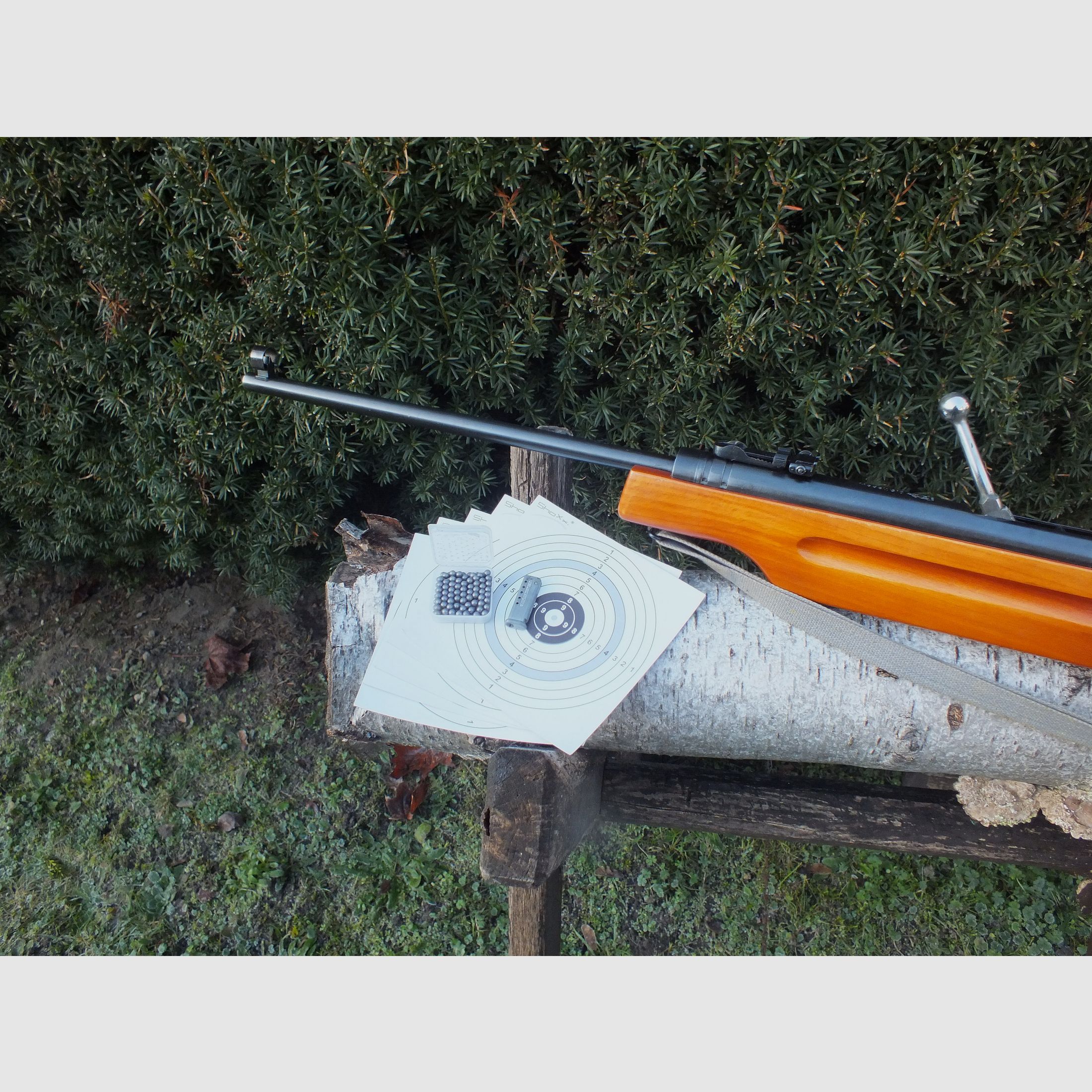 Fucile ad aria compressa Haenel 310-4 con calcio sportivo