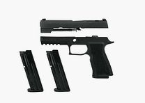 SIG SAUER P320 X-TEN système interchangeable noir 10mm Auto - Armes à feu