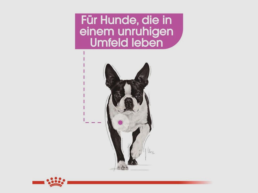 ROYAL CANIN Nassfutter Relax Care für Hunde in unruhigem Umfeld 12x85 g
